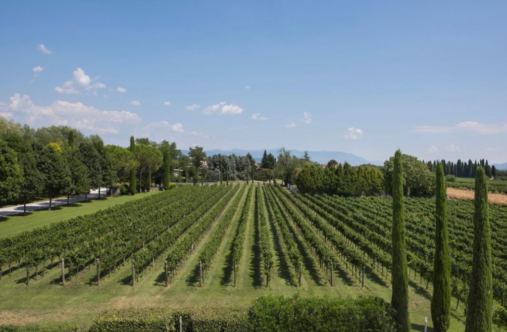 WhatsApp Image 2025-12-12 at 09.28.37 (2)