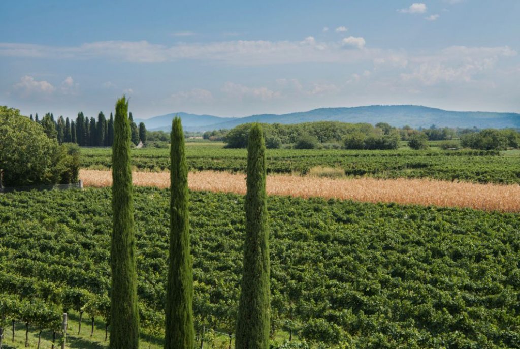 WhatsApp Image 2025-12-12 at 09.28.38